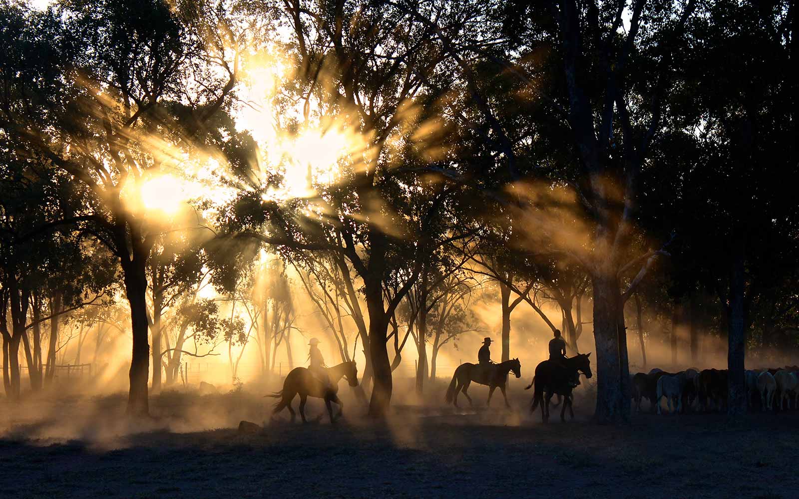 Have an adventure. People on Horseback by photographer Tobias Keller